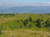 lustenau-wochenende_2012-08-12_0086_bearbeitet-1