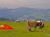 lustenau-wochenende_2012-08-12_0152_bearbeitet-1