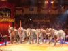 circus-krone-14
