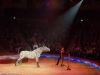 circus-krone-17