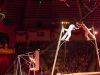 circus-krone-20