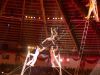 circus-krone-21