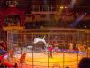 circus-krone-5