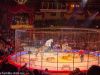 circus-krone-6