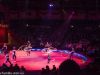 circus-krone-7