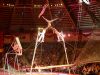 circus-krone