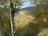 elsass-tag4-03112011-006