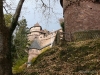 elsass-tag4-03112011-013