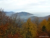 elsass-tag4-03112011-035