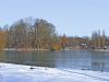 Winter im Englischen Garten in München