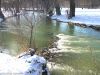 Winter im Englischen Garten in München