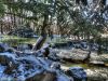 Englischer Garten im Winter als HDR / Experiment