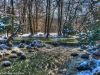 Englischer Garten im Winter als HDR / Experiment