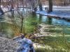 Englischer Garten im Winter als HDR / Experiment