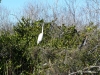 florida-29-12-09-thomas-009