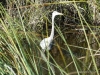 florida-29-12-09-thomas-010