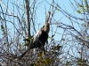 florida-29-12-09-thomas-013