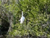florida-29-12-09-thomas-024