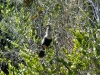 florida-29-12-09-thomas-029