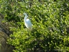 florida-29-12-09-thomas-030
