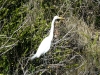 florida-29-12-09-thomas-031