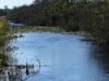 florida-29-12-09-thomas-032