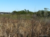 florida-29-12-09-thomas-057