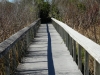 florida-29-12-09-thomas-060
