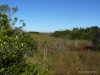 florida-29-12-09-thomas-065
