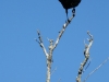 florida-29-12-09-thomas-072