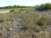 florida-29-12-09-thomas-073