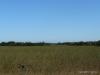 florida-29-12-09-thomas-075
