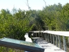 florida-29-12-09-thomas-078