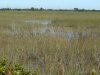 florida-29-12-09-thomas-079