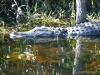 florida-29-12-09-thomas-084
