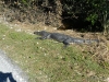 florida-29-12-09-thomas-087