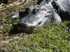 florida-29-12-09-thomas-091