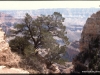 usa-magazin12-0017
