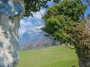 im Garten am Heidihaus