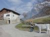 Heidihaus im Heididorf