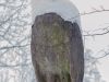 schneebedeckte Adlerfigur im winterlichen Tierpark Hellabrunn