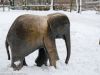 Bronze - Elefant im winterlichen Tierpark Hellabrunn