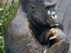 Bronze - Gorilla im Tierpark Hellabrunn