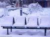 Bank im Winter im Tierpark Hellabrunn