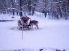 Winter im Tierpark Hellabrunn