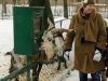 Astrid beim Ziegenfüttern im Tierpark Hellabrunn in München