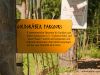 kletterwald-garmisch_2012-08-15_0107_bearbeitet-1