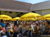 maibaumfest-altham_2012-05-01_0020