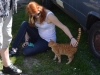 maibaumfest-altham_2012-05-01_0038