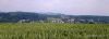 Landschaft bei Naarn